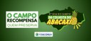 2º Dia de Campo da Colheita do Abacaxi fortalece a agricultura familiar em Concórdia do Pará
